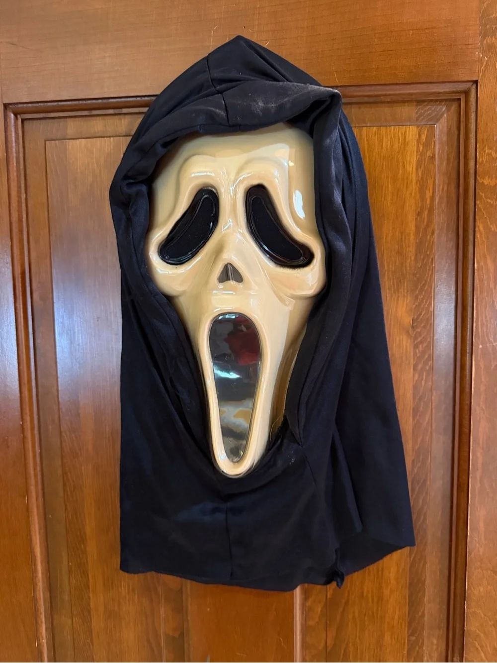 Ghostface Style Bleeding Mask - Scream Halloween Costume (No Pump)